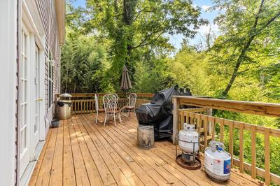Entire 4-BR in Beloved DC Area Takoma Park