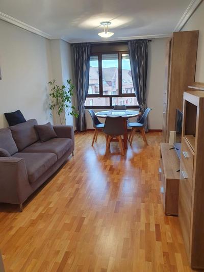 Lovely cozy flat in Oviedo