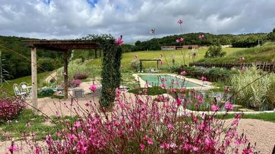 Podere Terraviva - apt Ginestra
