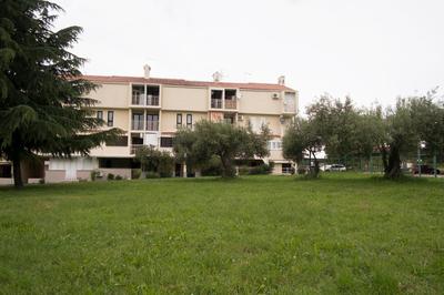Janja Apartment