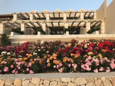 Agios Gordios Beach Resort