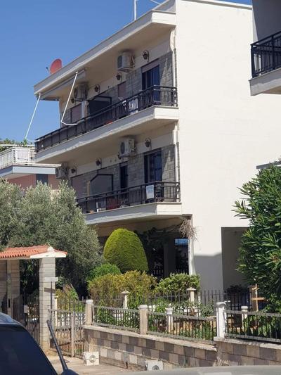 Sunflower by the Sea, Alexandroupolis