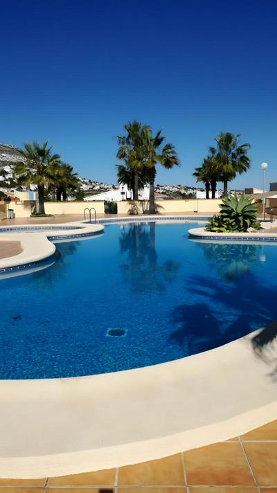 Olivos