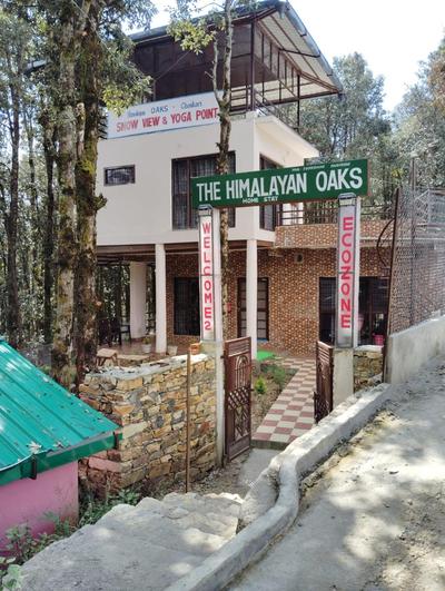 The Himalayan Oaks