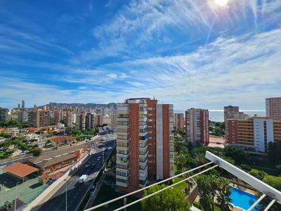 Apartamento San Sebastian 10 IF Benidorm