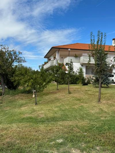 Casa Vacanze Cerreto 1