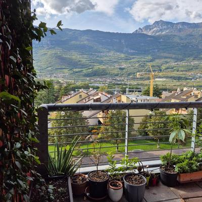 Vista mozzafiato sulle Alpi