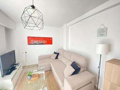 Sea view apartment Postiguet