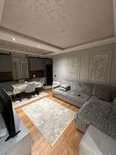 Luxury Apartments Shiba 02