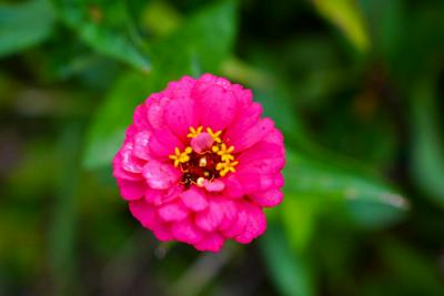 Somoto Canyon Hostal