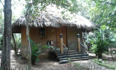 Safari Village Hotel - Udawalawa