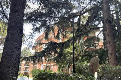 Mansarda monolocale in roof garden