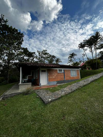 Yarumito Finca Hotel Cabaña Tulipán