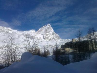 Alpine Treasure