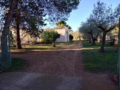 Cottage Dell' Ulivo