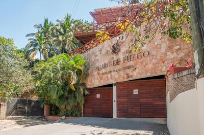 DreamHaus Sayulita Pajaro de Fuego