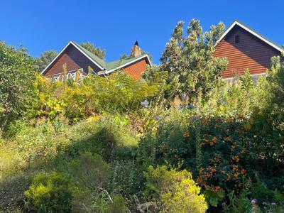 Ixia studio-Serene, solar, pet friendly, garden and valley views