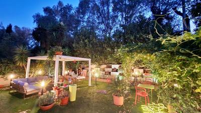 La stanza degli abeti blu