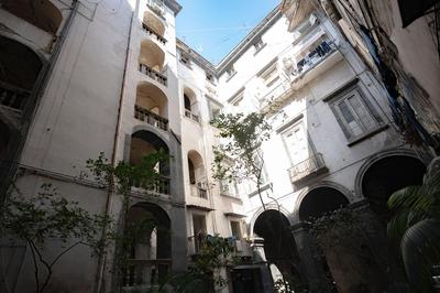 La casa sull'albero