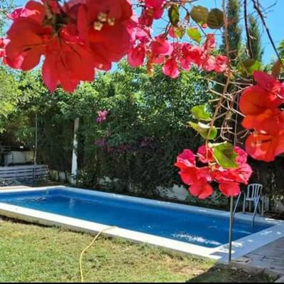 Family villa with pool in San Jose del Valle 120 m²