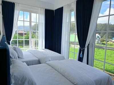 Golden Mist NuwaraEliya