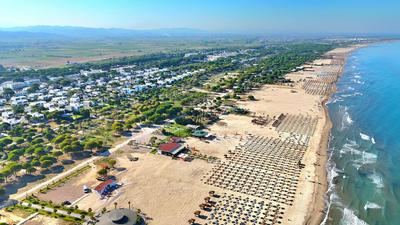 Sunny Beach Apartments - 295