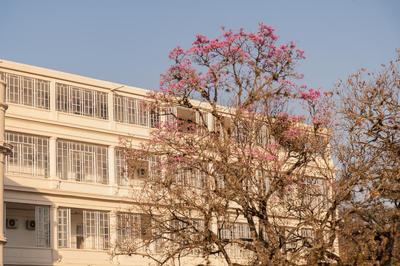 Hotel Termas Rosario de la Frontera