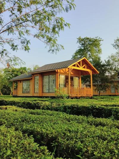 The Postcard in the Durrung Tea Estate, Assam