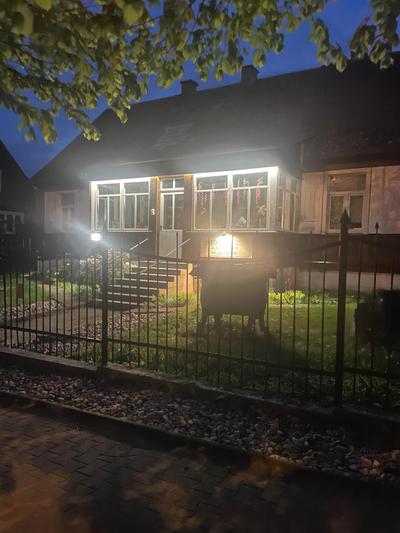 Pokoje Gościnne Nowy Świat