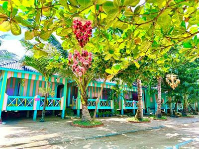 Simone Rabbit Island