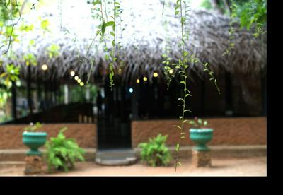 Soba Lanka Holiday Resort