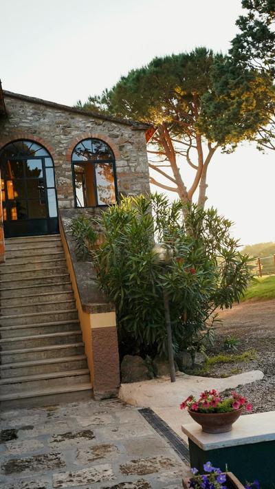 Podere Scoldasu - Venere