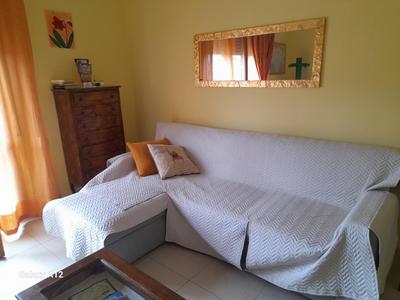 Shanty Home