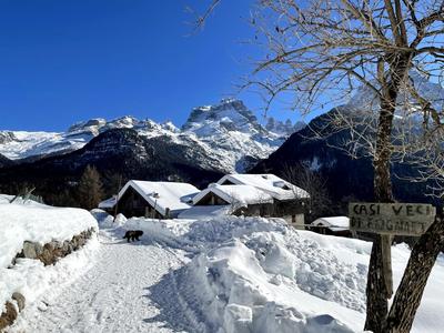 Villa Alpina Campiglio