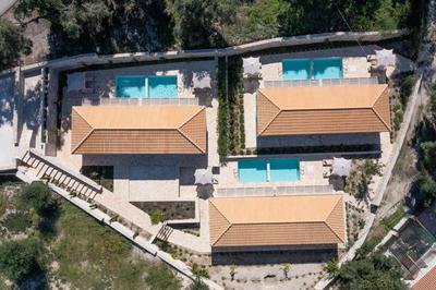 ULIVETO PAXOS