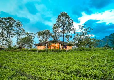 Viriparai Tea Bungalow Munnar by VOYE HOMES - Surrounded by Tea Plantations