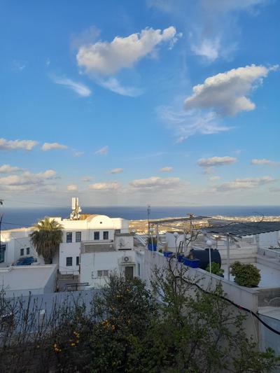 Central Apartments Fira NEW MANAGEMENT