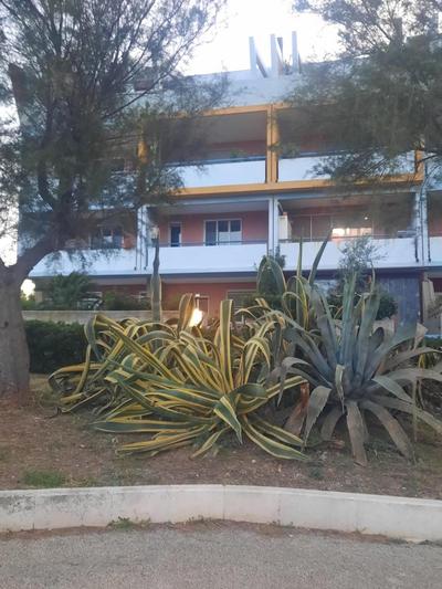 Casa Dormio