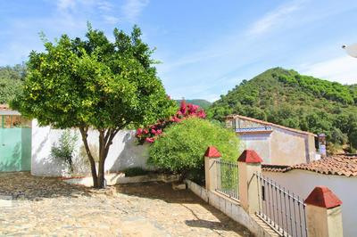 El mirador del naranjo