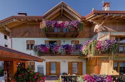 Agritur Coryletum