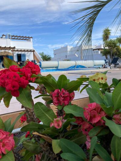 "Our Soleada" Villa cosy and flowery, heated pool