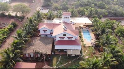 Dragonfly Goa