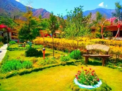 Olive Eco Village Hotel