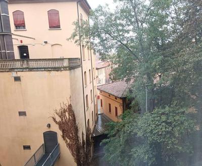 Blue Azzo Gardino n9 interno 4