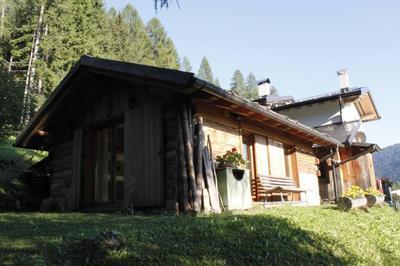 LA VOCE DEL BOSCO Selva di Cadore