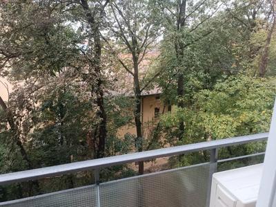 Silver Azzo Gardino n 9 interno 4-3