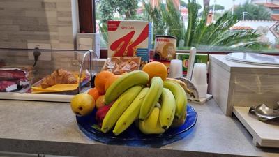 La casa dell'artista