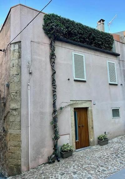 Casa del Gelsomino
