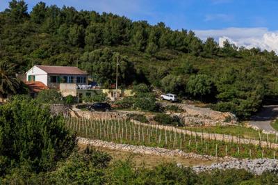 House Paradiso
