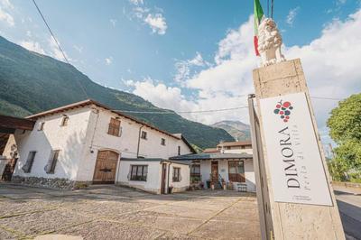 Dimora Perla di Villa - Historical Wine Retreat near Bernina Express
